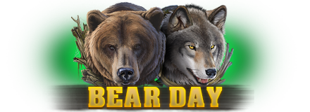 1BearDay