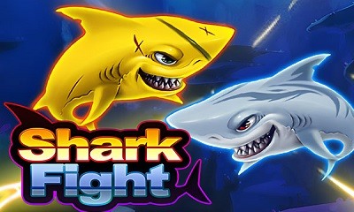Shark Fight